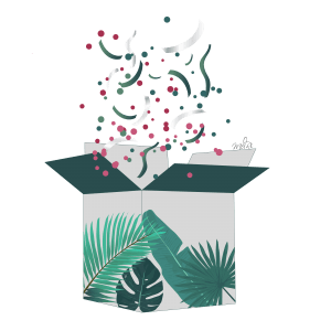 boite_surprise_melri